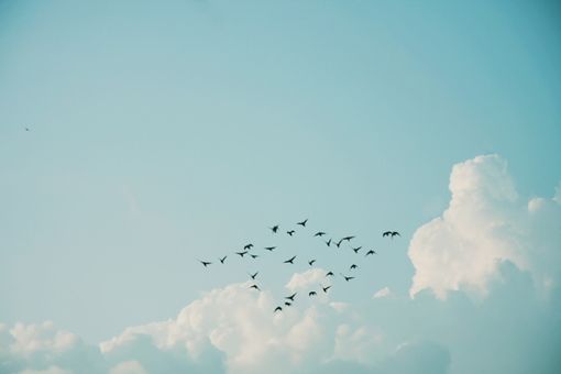 ֪xİľە(hu)(chng)ϱF(xin)