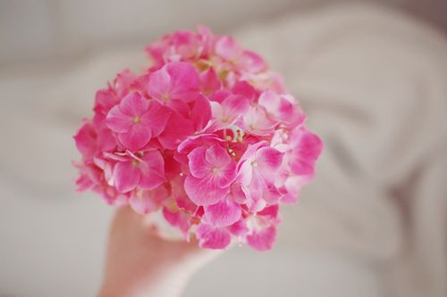 ڕr(sh)gƽoښqȥ (2)