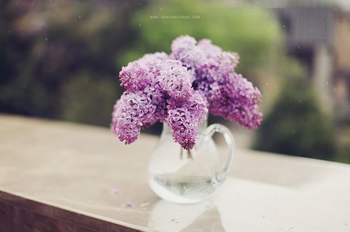 ڕrgƽoښqȥ (9)