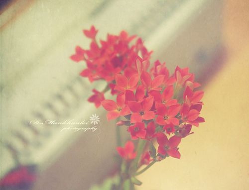 ж扦߀һꖹ (9)