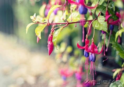 人生是一場(chǎng)一個(gè)人的旅程,無(wú)人可替代