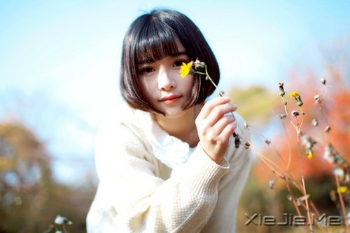 ^(gu)Ԋ(sh)(jin)ζ (4)