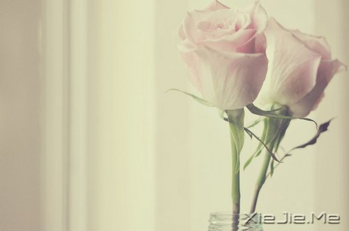 һһ (2)