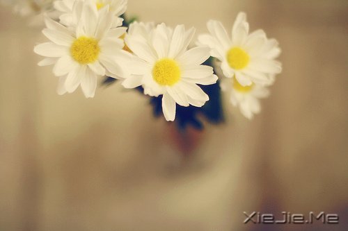 һһ (9)