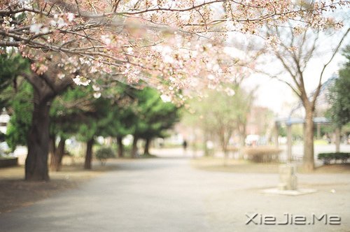 (zhng)ҲЌ (1)