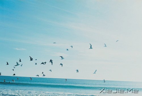 (zhng)ҲЌ (2)