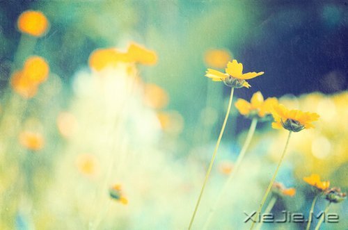 (zhng)ҲЌ (5)