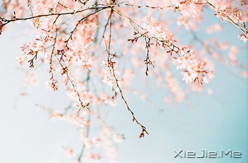 (zhng)ҲЌ (6)