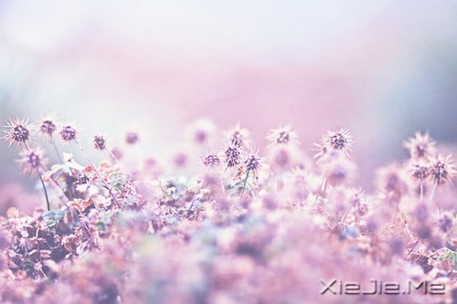 (zhng)ҲЌ (7)