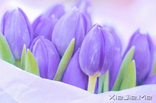 挍Լõ (1)