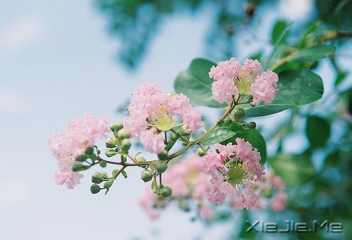 挍Լõ (3)