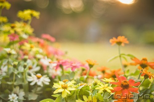 挍Լõ (5)