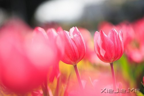 挍Լõ (6)