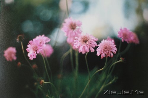 挍Լõ (9)