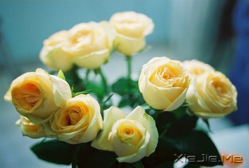挍Լõ (10)