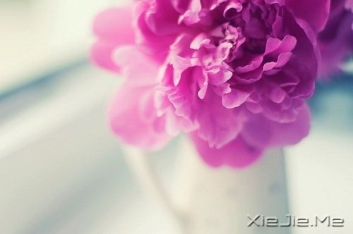 ҪԼҪpԼ (1)