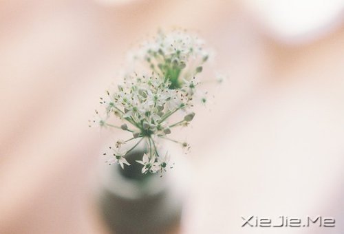 ÿ˶Լů֪ (3)