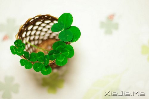 ǿǿ (1)