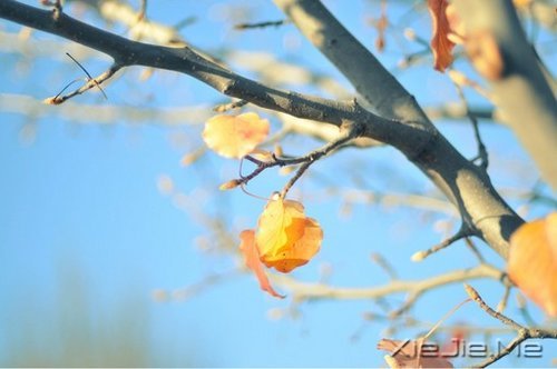 죬ǿǿ (5)