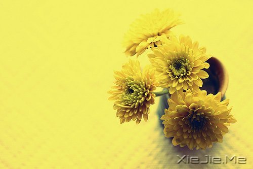 ǿǿ (7)