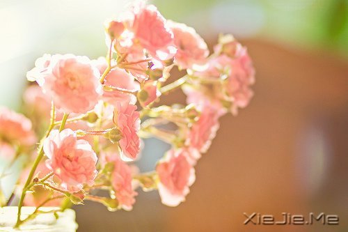 ҲL(zhng)ゃȥ (1)