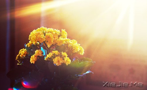 ҲL(zhng)ゃȥ (6)