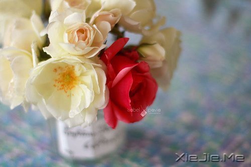 ҲL(zhng)ゃȥ (7)