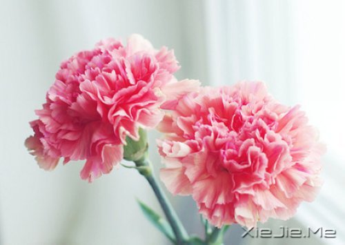 е㿴һۣsһ (1)