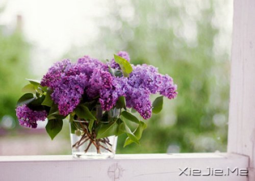 е㿴һsһ (2)