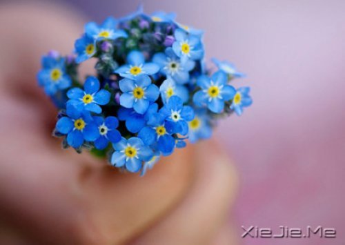 е㿴һsһ (5)