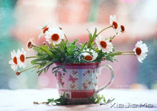е㿴һsһ (7)