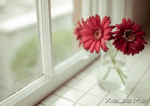 е㿴һsһ (9)