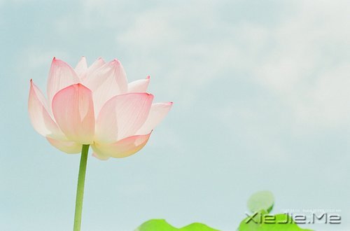 ˽һ (1)