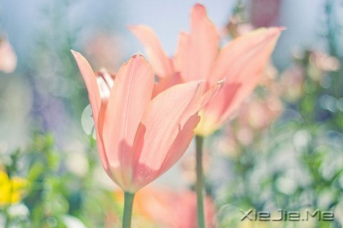 ˽һ (5)