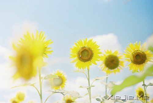 ˽һ (7)