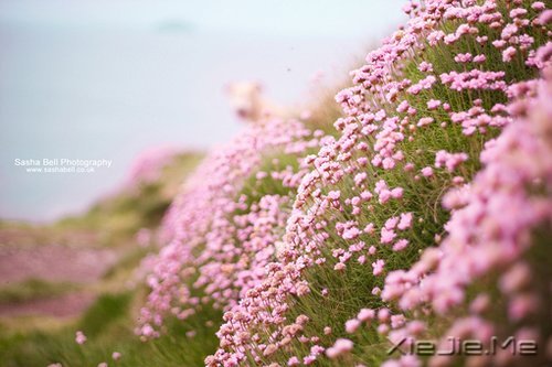 ֻҪһ΢Ц (1)