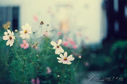 ֻҪߣM(jn) (2)