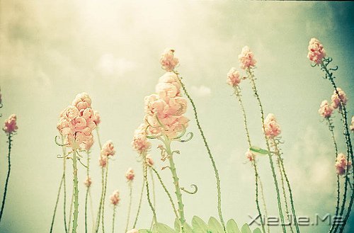 ֻ֪жЦ (3)