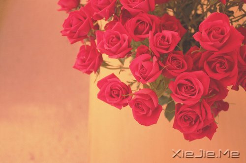 һױgĸ裬҂ǂ (3)