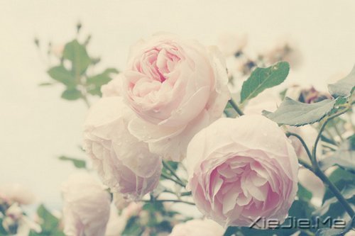 ׷ʲôȥŬ (4)