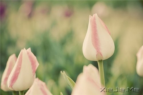 ׷ʲôȥŬ (5)