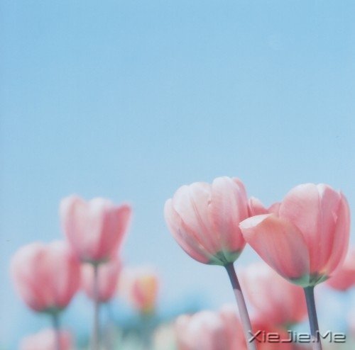 Լˣŕː (1)