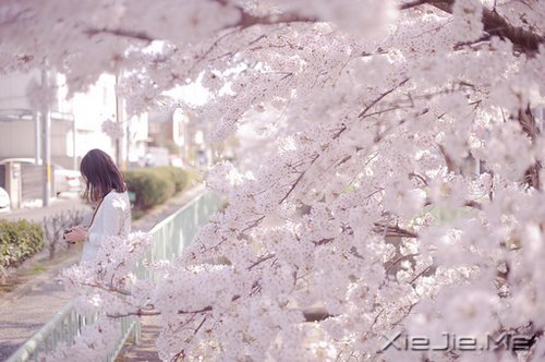 ֪㣬ԸӽҸ (2)
