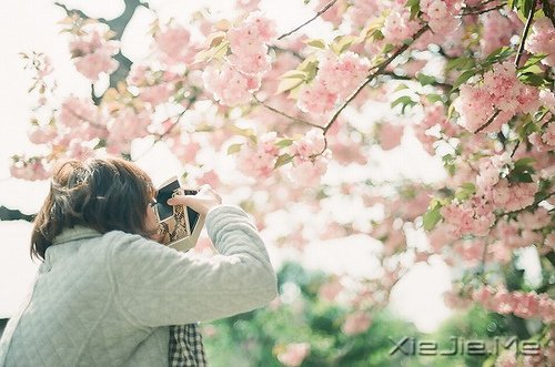 ֪㣬ԸӽҸ (3)