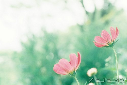 ֪ԸӽҸ (6)