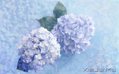 һ犚⣬ʧȥ60Ŀ옷(l) (2)