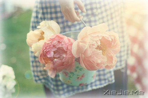 һ犚ʧȥ60Ŀ옷(l) (5)