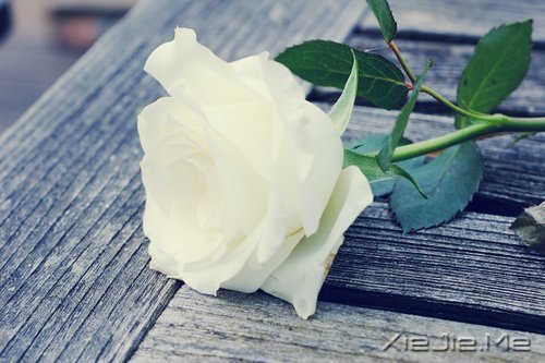 һ犚ʧȥ60Ŀ옷(l) (4)