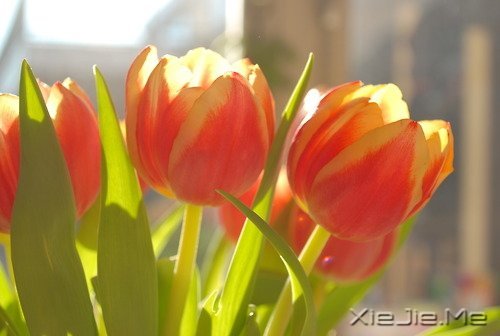 һ犚ʧȥ60Ŀ옷(l) (6)