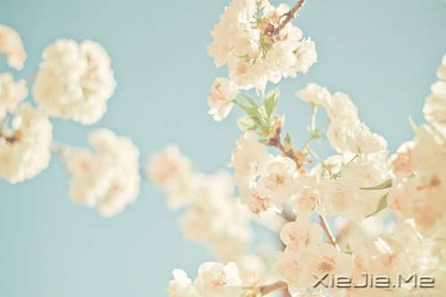 һ犚ʧȥ60Ŀ옷(l) (7)